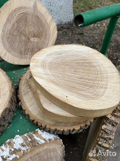 Спилы Ясеня большие и малые