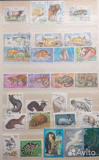 Марки фауна