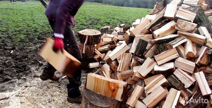Дрова ольха