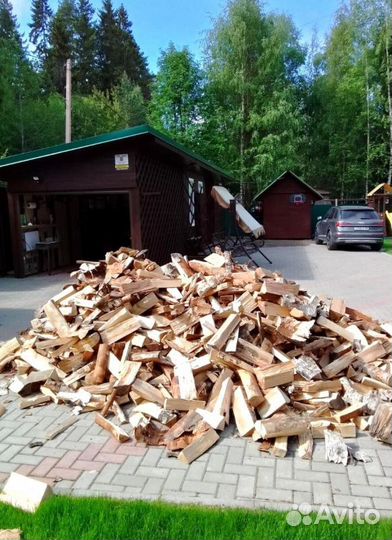 Дрова с доставкой по области любые