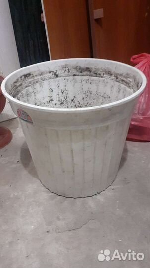 Цветочный горшок