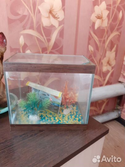 Аквариум