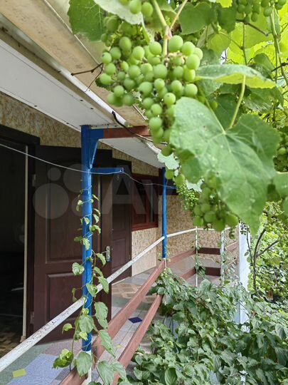 Комната 20 м², 2/2 эт.