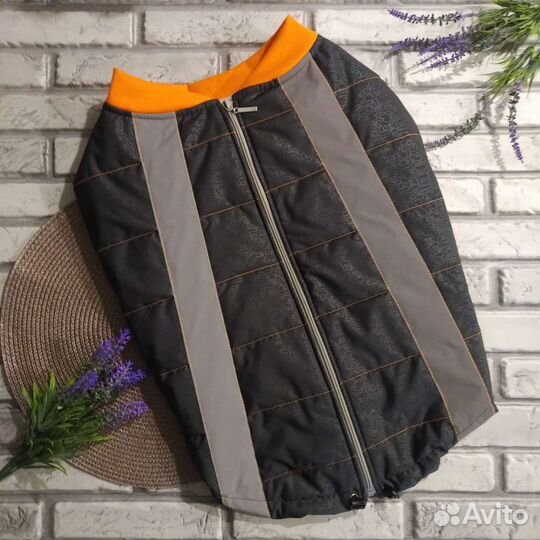 Одежда для собак