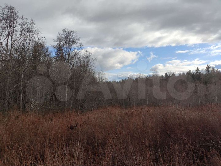 Участок 64 сот. (СНТ, ДНП)