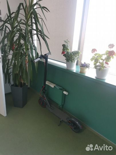 Электро самокат