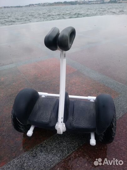 Защита, подножка, переноска для Ninebot Mini и Pro