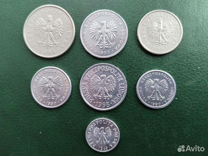 Лот монет Польши