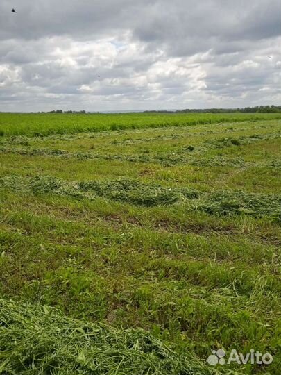 Травяные гранулы