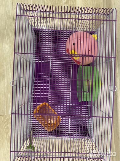 Клетка для грызунов