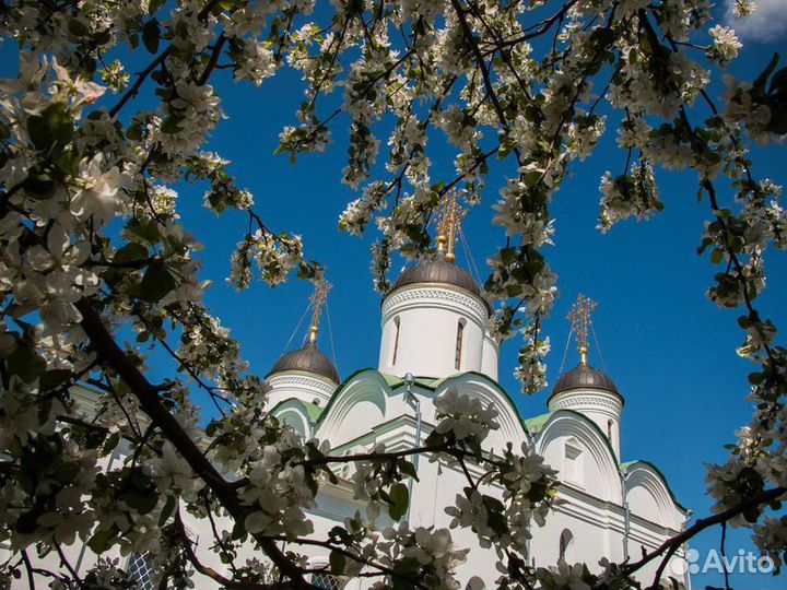 Нижний Новгород Топ-Экскурсия изнижнего Новгорода—