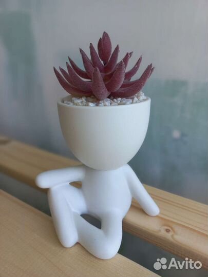 Суккулент искусственный