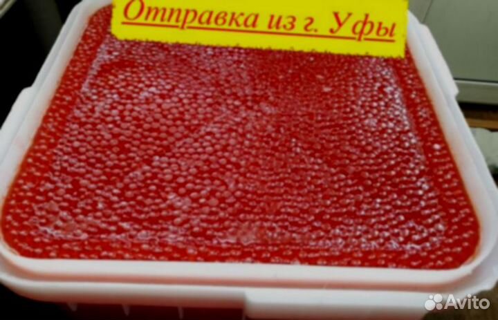 Красная икра