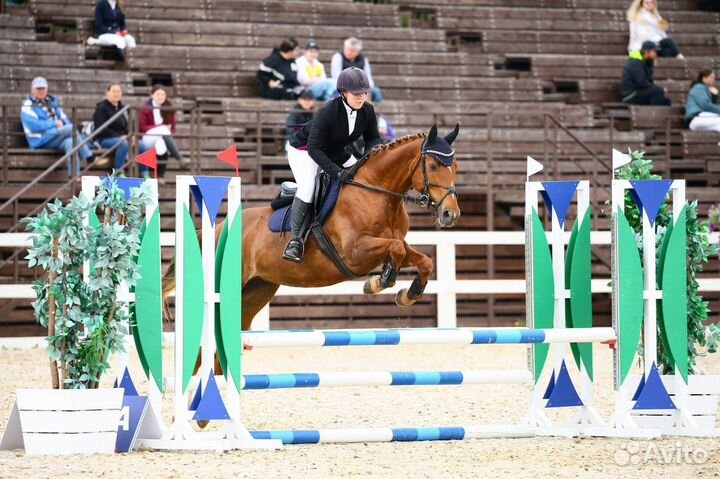 Берейтор-тренер-спортсмен-коновод-ветеринар