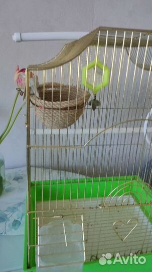 Клетка для птиц бу
