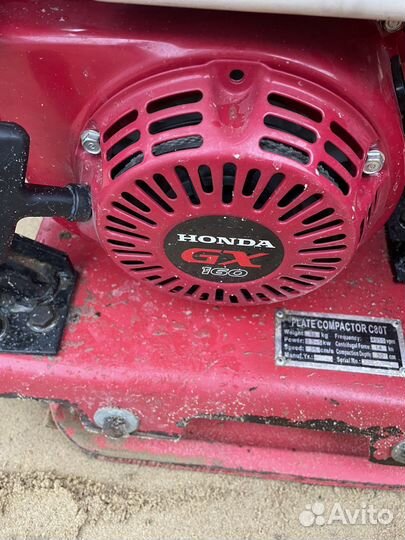 Аренда виброплиты