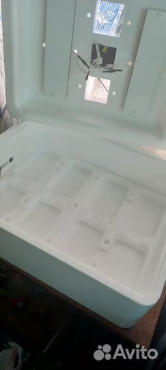 Инкубатор для яиц несушка