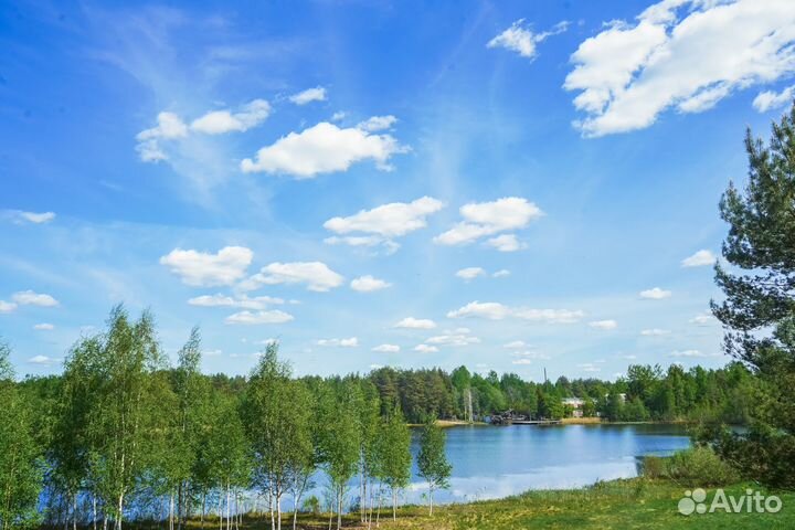 Палаточный кемпинг ForrestHome
