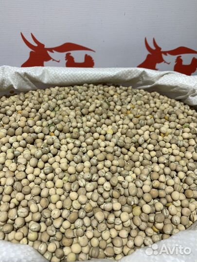 Горох желтый кормовой