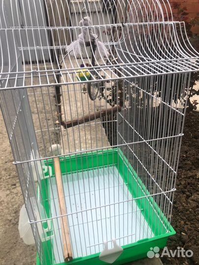 Большая клетка для птиц