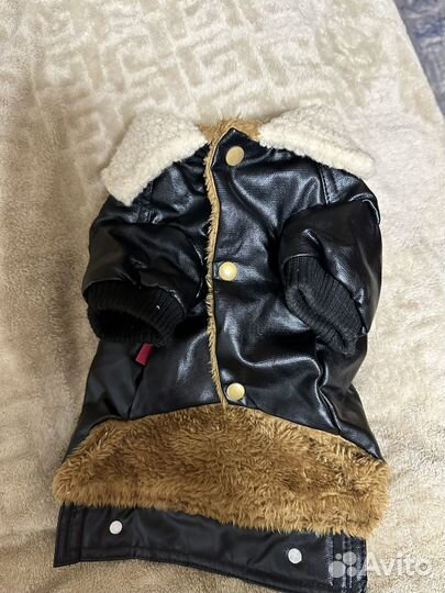 Одежда для собак