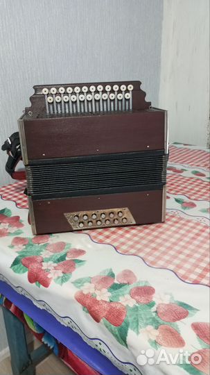 Гармонь любительская