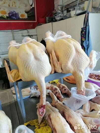 Индюки и куры