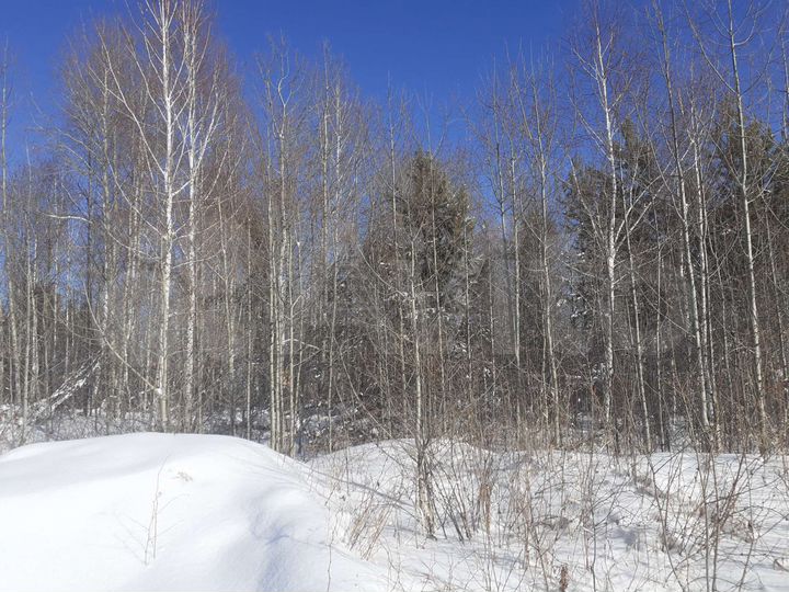 Участок 10 сот. (СНТ, ДНП)