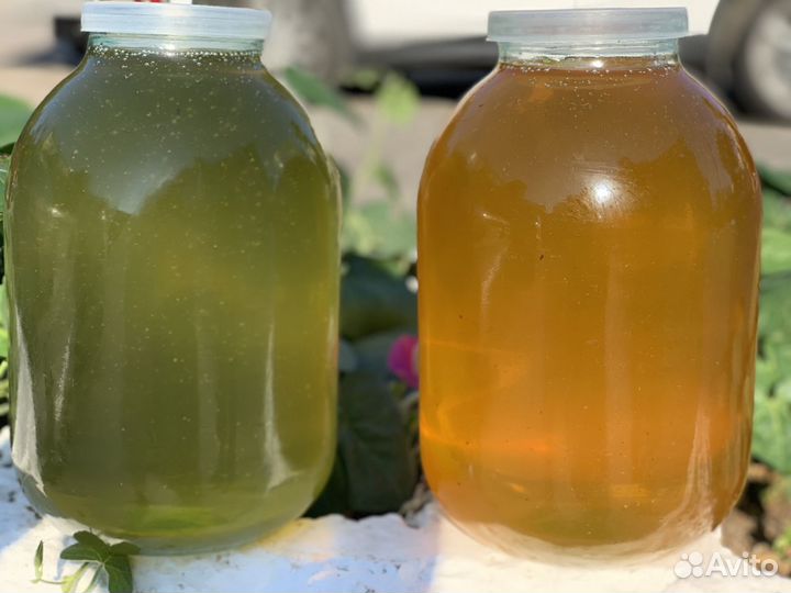 Мёд и продукты пчеловодства в Севастополе