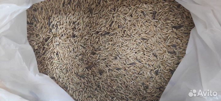 Корма для сельскохозяйственных животных