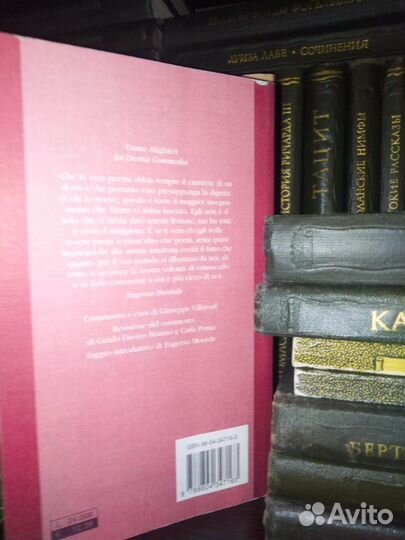 Dante, Petrarca на итальянском