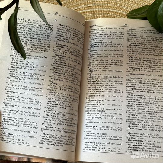 Русско-чешский словарь