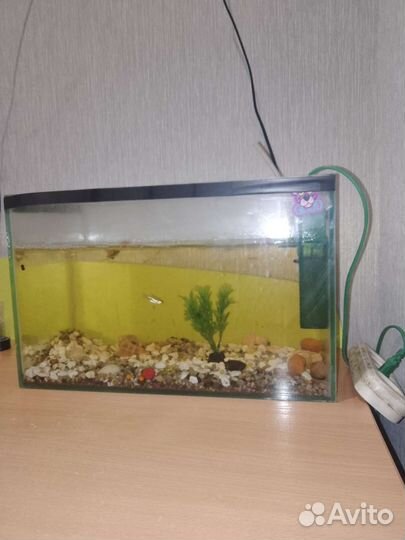 Аквариум