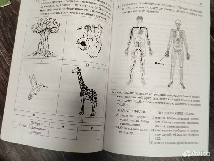 ВПР 4 класс