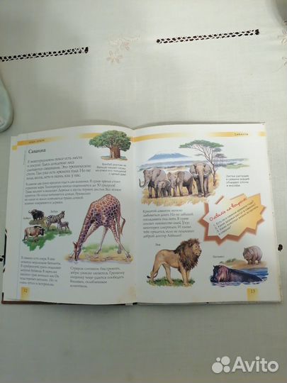 Энциклопедия Я открываю мир Наша земля