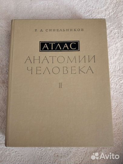 Атлас анатомии человека синельников