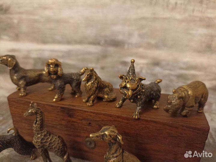 Миниатюры собак и других животных