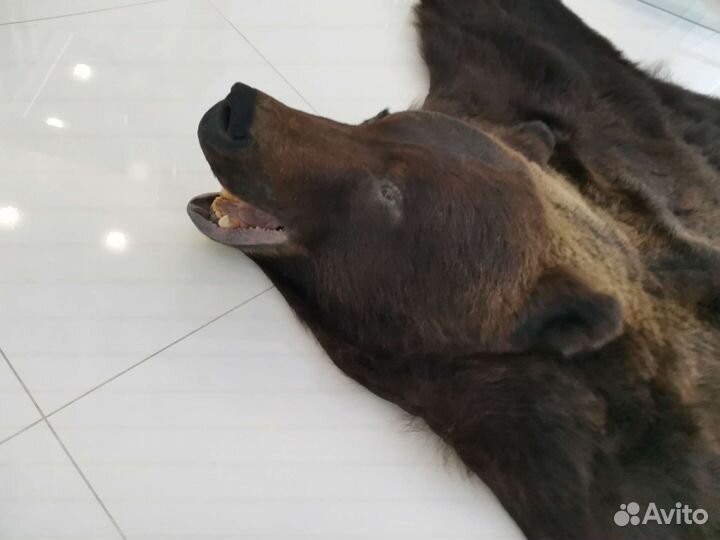 Шкура медведя имитация