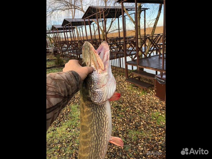 Рыбалка. Беседки над водой. Организация рыбалки