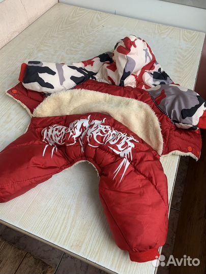 Одежда для маленьких собак