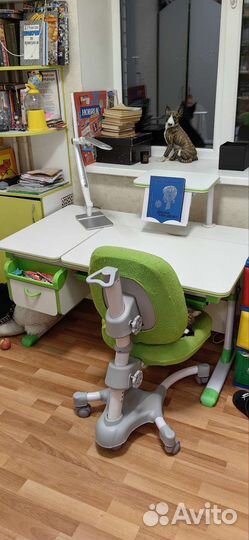 Растущая парта mealux