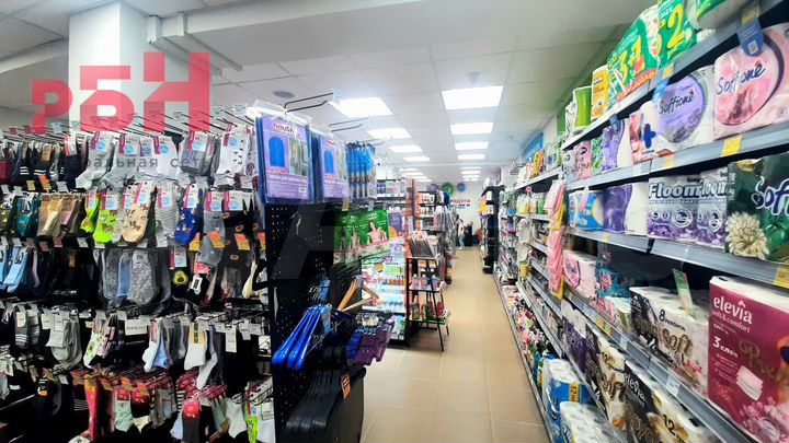 Помещение с Арендаторами, 301 м²