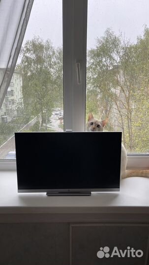 Монитор hp elite