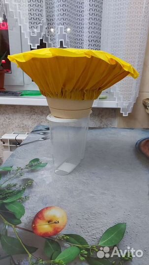 Шапка гриба лисичка новая