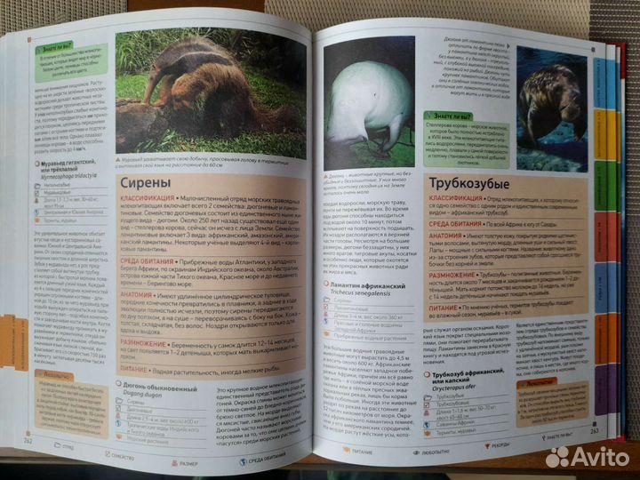 Энциклопедия животных