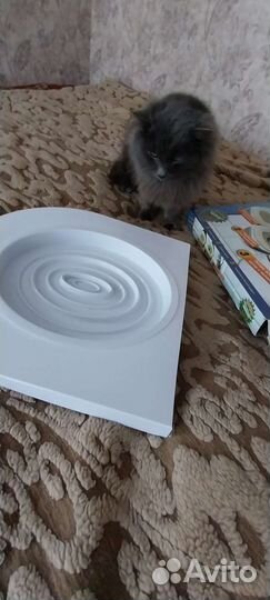 Устройство для приучения кошек к унитазу