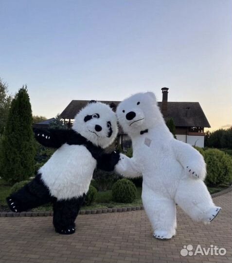 Поздравления/Аниматоры на все праздники/ Аэромишка