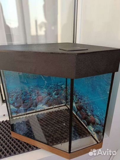 Аквариум высота 35см.Ширина стен 31,31,25, 13,13см