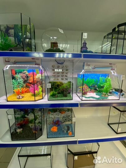Готовые аквариумы для рыбок