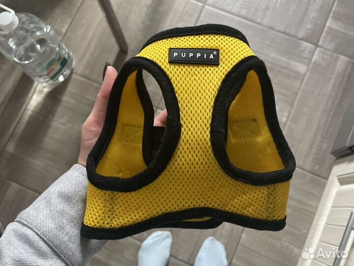 Шлейка для маленькой собаки, кошки